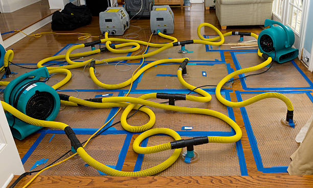 Professional Burst Pipe Water Damage technician working in Otis Orchards, WA